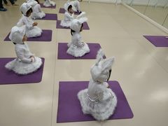 -红舞鞋舞蹈教育(近江校区)