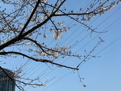 -西北湖绿化广场