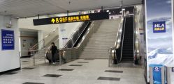 -东瀛造型