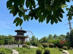 -清凉山国家森林公园