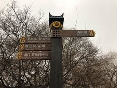-北陵公园