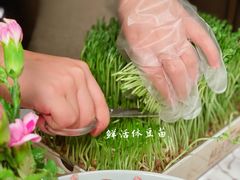 -领鲜天下·焗海鲜·花胶鸡(天目里店)