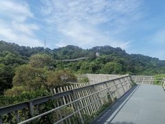 -福道
