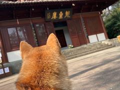 -梦姑塘文化公园