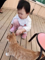 -萌宠亲子动物乐园(槐房万达店)