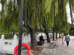 -莱西月湖公园