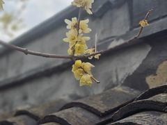-上海植物园-4号门售票处