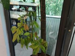 -清雅臻品·竹林院落·新派青岛菜(崂山店)