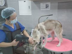 -宠福鑫康馨动物医院·骨科·眼科
