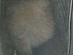 -全心全意连锁动物医院·微创中心·内科急重症·心脏专科(丰管路店)