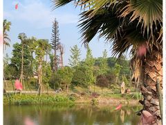 -枫香湖儿童公园