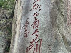 -泰山风景名胜区