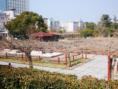 -嘉定紫藤园