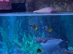 -沈阳海洋探索中心