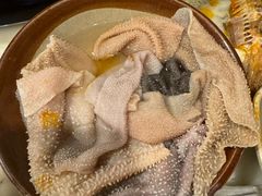 血毛肚-化龙桥九宫格火锅(清水河店)