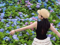 -沈阳植物园