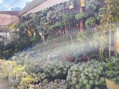 -龙翔小猪脚(龙头街店)