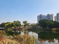 -新江湾城公园