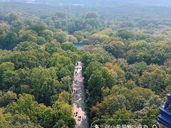 -灵谷景区