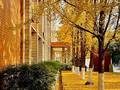 -西南民族大学南区(双流校区)