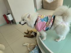 -怪兽屋·羊驼·猫咖·狗咖(俊华广场店)
