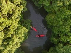 -动邦皮划艇·桨板·独木舟·团建户外运动俱乐部