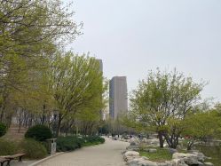 -大望京儿童游乐场