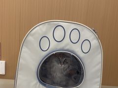 -瑞派康怡24h宠物医院·犬猫医疗中心·微创绝育(瑞景分院)