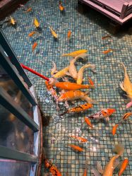 -酷嗒动物文化乐园(cutezoo西溪乐天城店)