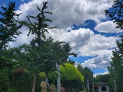 -南宫五洲植物乐园