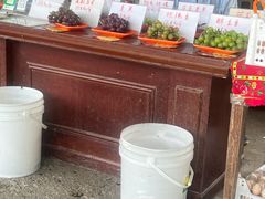 -马陆小张葡萄园农家乐