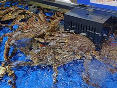 -万达广场(惠州大亚湾店)