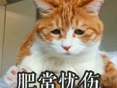 -华中农业大学-荟园餐厅