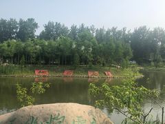 -合肥滨湖国家森林公园