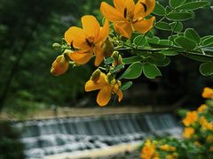 -千泷沟大瀑布旅游区