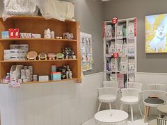 -关爱宠物医院·猫科中心·消化科(滨湖万达分院)