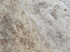 -新加坡飞禽公园