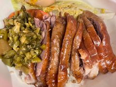 金奖卤鹅肉饭-陈鹏鹏潮汕菜(宝安机场T3航站楼店)