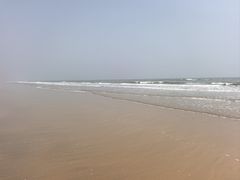 -日照海滨国家森林公园