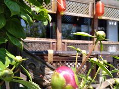 -慢丽江·云南野生菌土鸡锅(西山店)