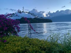 -野菌皇海景野生菌火锅(滨海大道店)