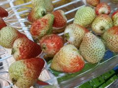 -康悦印象·美容·茶艺·国际芳香疗法(海悦店)