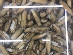 -日照大牌檔•小船海鲜(万平口店)