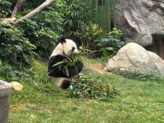 -香港海洋公园