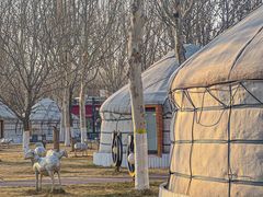 -九十九顶毡房(阜石路店)