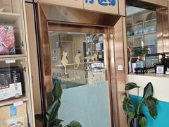 -康旭宠物医院(郑州总院)