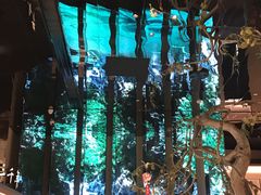 -桂满陇·海市蜃楼·黑金(国金店)