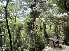 -芦仙山景区-飞越丛林探险乐园