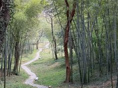 -采石矶景区