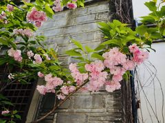 -老门东历史文化街区